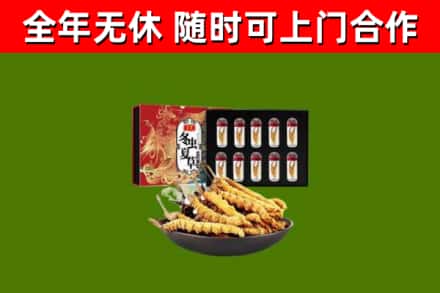 资中回收冬虫夏草价格